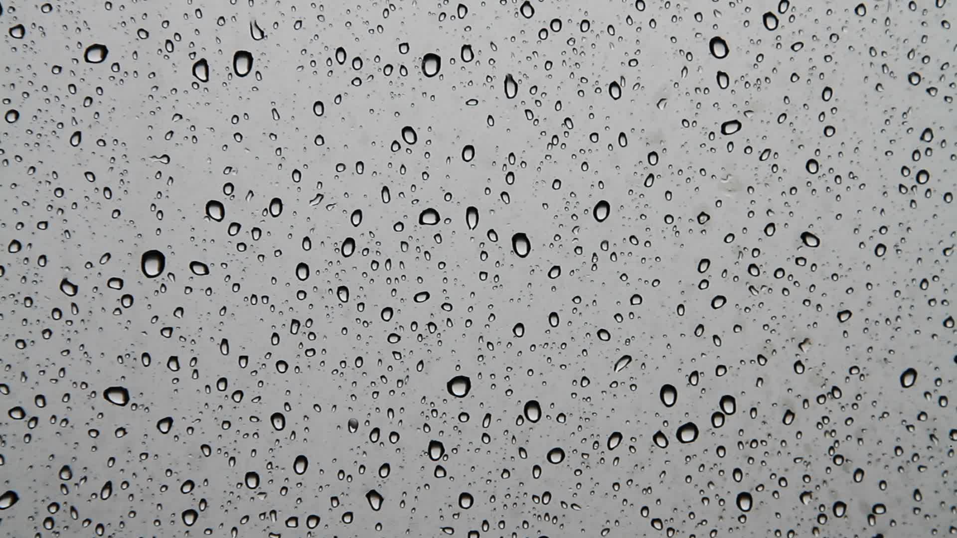 Beautiful Water Drops On Window Glass Stock Video 11478091 HD Stock