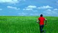 video clip 11617447
