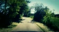 video clip 11623173