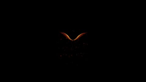 After Effects Project - Pond5 phoenix HD 11709910 After Effects Project - Pond5 phoenix HD 11709910