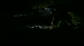 video clip 11840119