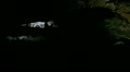video clip 11840141