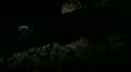 video clip 11840173