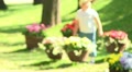 video clip 11852457