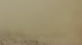 Land affected by drought