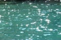 video clip 11881599