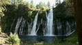 video clip 11882259
