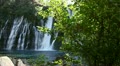video clip 11882401