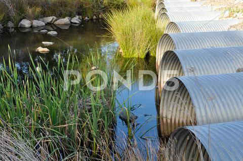 Drainage Pipes Flowing Into Green Pond
