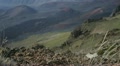video clip 11891079