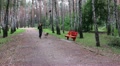video clip 11893617