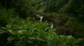 video clip 11895713