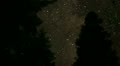 video clip 11909365