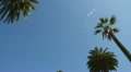 video clip 11963371