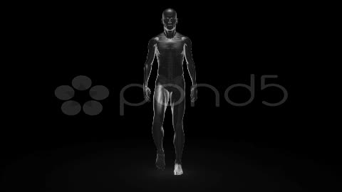 After Effects Project - Pond5 Body Pain Zones 11963965 After Effects Project - Pond5 Body Pain Zones 11963965