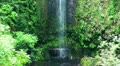 Waterfall passage in rainforest 20110429 151110 Video