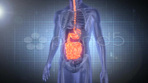 After Effects Project - Pond5 Medical Analysis Stomach 11985842 After Effects Project - Pond5 Medical Analysis Stomach 11985842