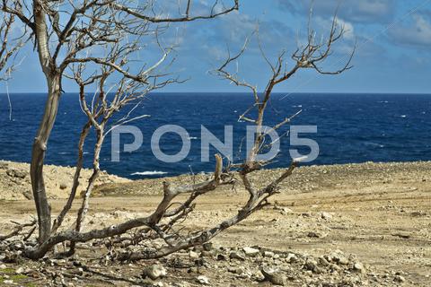 Stock photo of corbens bay with view to atlantic ocean