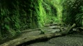 video clip 12005771