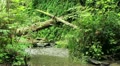 video clip 12008699