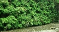 video clip 12009359