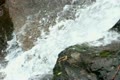 video clip 12027023