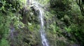 Rainforest waterfall 20110430 162333 Video