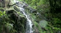 Rainforest waterfall scene with sound 20110430 162418 Video
