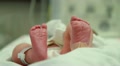 Baby's Feet - Newborn at Hospital