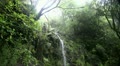 Rainforest waterfall with sound 20110430 162942 Video