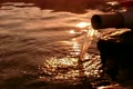 video clip 12047953