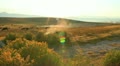 video clip 12048719