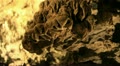 video clip 12048781