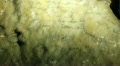 video clip 12049111