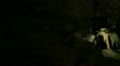 video clip 12049343