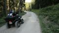ATV в лесу на горе