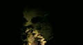 video clip 12049601