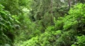 video clip 12106671