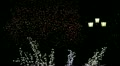 video clip 12110591