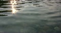 video clip 12114361