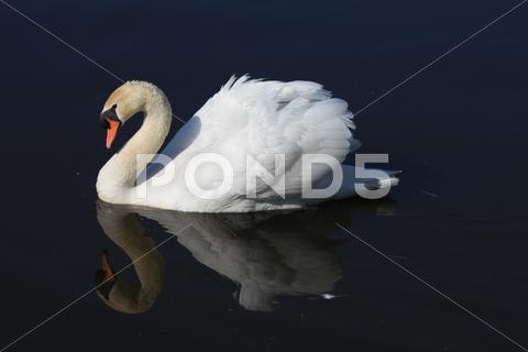 Stock photo of 2010IMG 9488.JPG