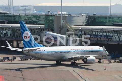 Stock photo of 2010IMG 9617.JPG