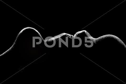 Stock photo of contour of the female person
