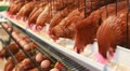 Chicken eggs,hen eating food in farm