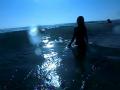 video clip 12230261