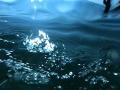 video clip 12230301