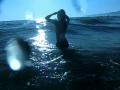 video clip 12230321