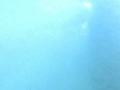 video clip 12230335