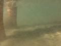 video clip 12230431