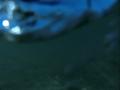 video clip 12230467